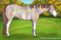 Horse Color:Nacre White Spotted Brown Pearl Dun 