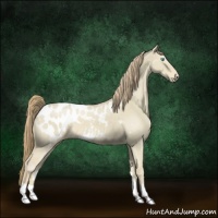 Horse Color:Smoky Creme Dun Appaloosa 