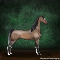 Horse Color:Brown Dun Sabino Brindle