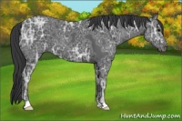 Horse Color:Black Ice 