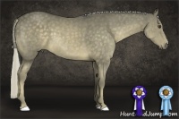 Horse Color:Chocolate Palomino 