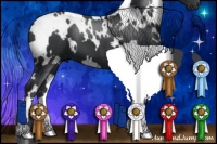 Horse Color:White Spotted Black 