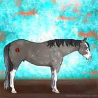 Horse Color:Grullo Sabino Splash 