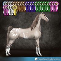 Horse Color:Liver Red Dun Sabino Blanket 