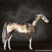 Horse Color:White Spotted Liver Red Onyx Splash