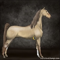 Horse Color:Liver Red Dun 