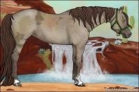Horse Color:Liver Red Dun Ice Roan Sabino 