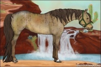 Horse Color:Liver Red Dun 