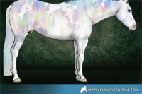 Horse Color:Nacre Watercolor White Spotted Liver Red Onyx Ice