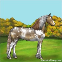 Horse Color:White Spotted Liver Red Dun Rabicano 
