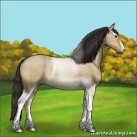 Horse Color:White Spotted Liver Red Dun 