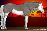 Horse Color:Silver Smoky Black Splash 