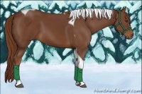 Horse Color:Chestnut Tobiano