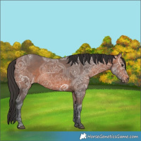 Horse Color:Brown Ice 