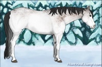 Horse Color:White Spotted Bay Ice 