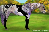 Horse Color:Nacre Brown Splash Tobiano 