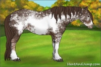 Horse Color:Liver Chestnut Ice Frame
