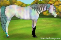 Horse Color:Nacre Buckskin Pearl Onyx