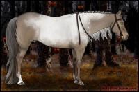 Horse Color:Liver Red Dun Roan Sabino