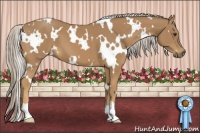 Horse Color:White Spotted Palomino 