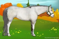 Horse Color:Liver Red Dun Roan Sabino