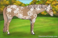 Horse Color:Palomino Ice 