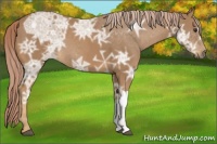 Horse Color:Palomino Ice 