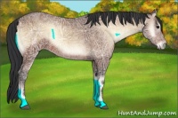 Horse Color:Brown Ice Onyx 