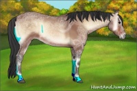 Horse Color:Bay Ice Onyx Sabino 