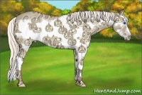 Horse Color:Silver Amber Champagne Ice Dun Splash Frame 