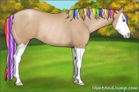 Horse Color:Painted Chestnut Pearl Splash Rabicano 