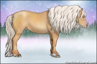 Horse Color:Silver Amber Champagne 