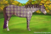 Horse Color:Plaid  Liver Chestnut 