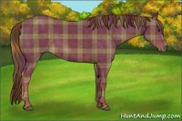 Horse Color:Plaid  Chestnut 