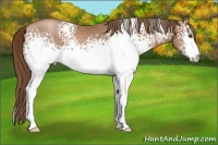 Horse Color:White Spotted Brown Pearl 