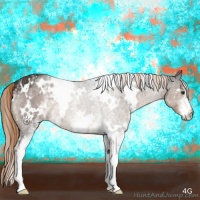 Horse Color:White Spotted Liver Chestnut Rabicano 