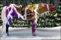 Horse Color:Silver Grullo Ice Splash Appaloosa