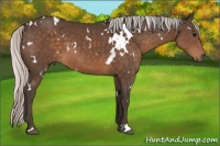 Horse Color:White Spotted Silver Brown 