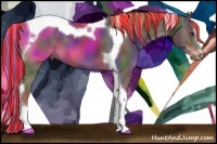 Horse Color:Painted Nacre Liver Chestnut Sabino Tobiano