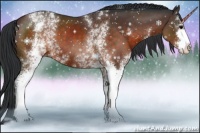 Horse Color:White Spotted Brown Sabino 