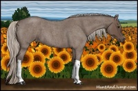 Horse Color:Silver Blue Roan