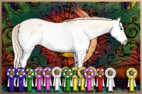 Horse Color:Perlino Dun Splash