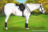 Horse Color:White Spotted Bay Splash 