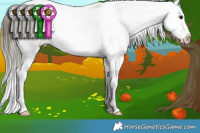 Horse Color:Buckskin Splash Blanket 