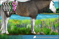 Horse Color:Buckskin Splash Blanket 