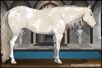 Horse Color:White Spotted Smoky Creme 