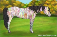 Horse Color:Bay Ice 