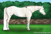 Horse Color:Silver Bay Ice Roan Dun Splash Frame 