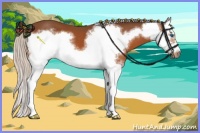 Horse Color:White Spotted Silver Bay Splash Frame