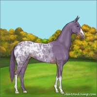 Horse Color:Watercolor Liver Chestnut Ice 